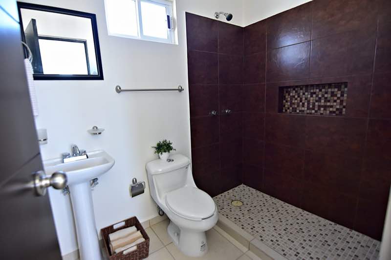 Modelo D65