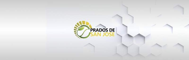 Prados de San José