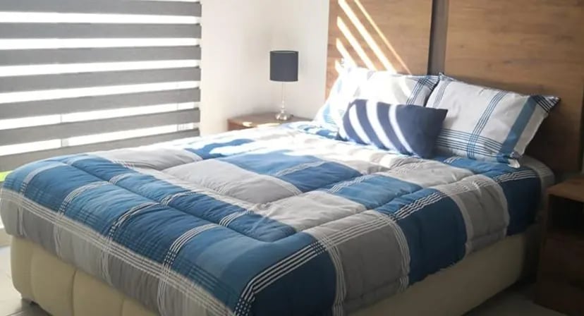 Modelo Palma