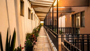 Modelo Roof Garden